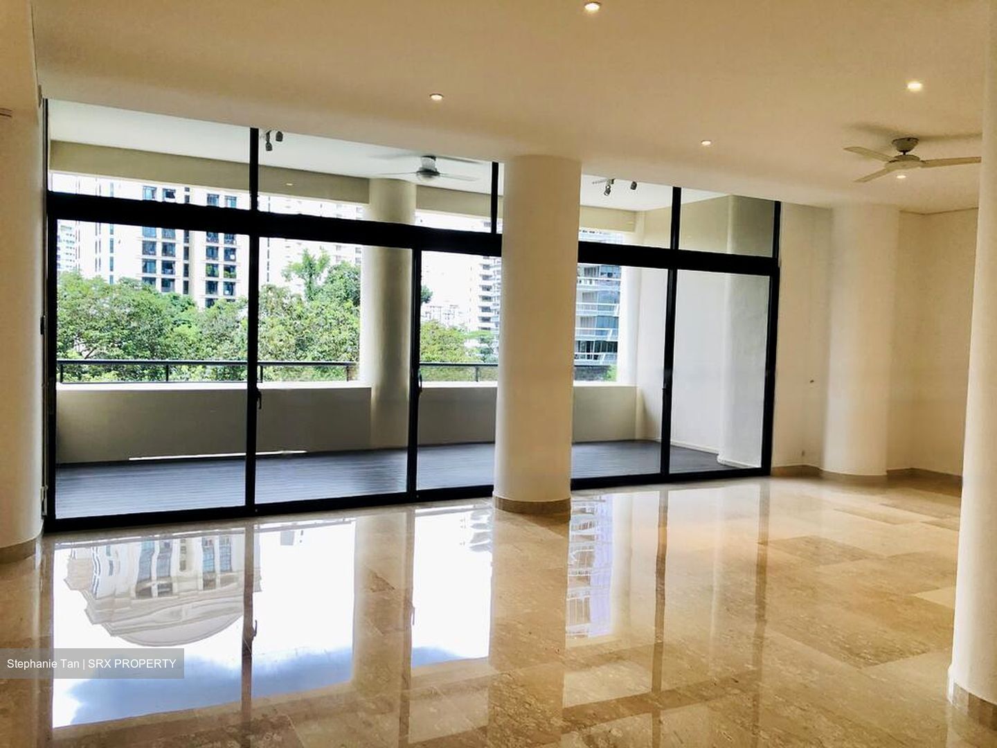 The Colonnade (D10), Condominium #496316981